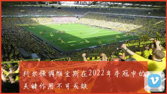 科尔强调维金斯在2022年夺冠中的关键作用不可或缺