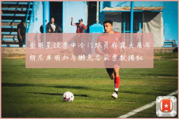 全明星投票中冷门球员崭露头角布朗尼库明加与獭兔各获票数揭秘