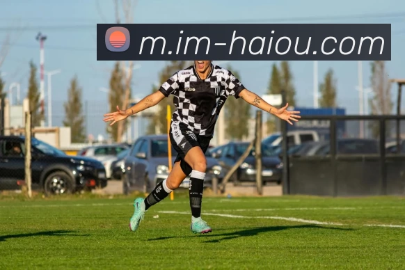 海鸥体育平台生态图