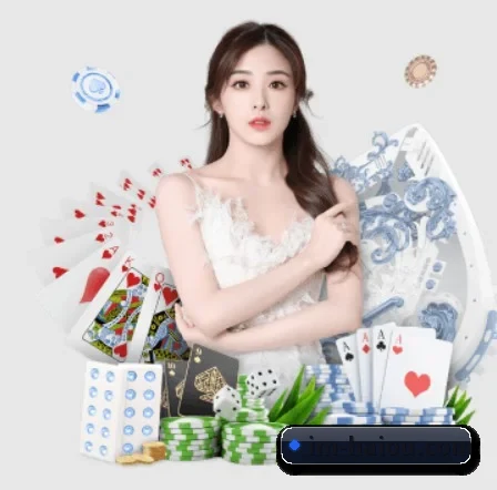 海鸥体育 APP 界面